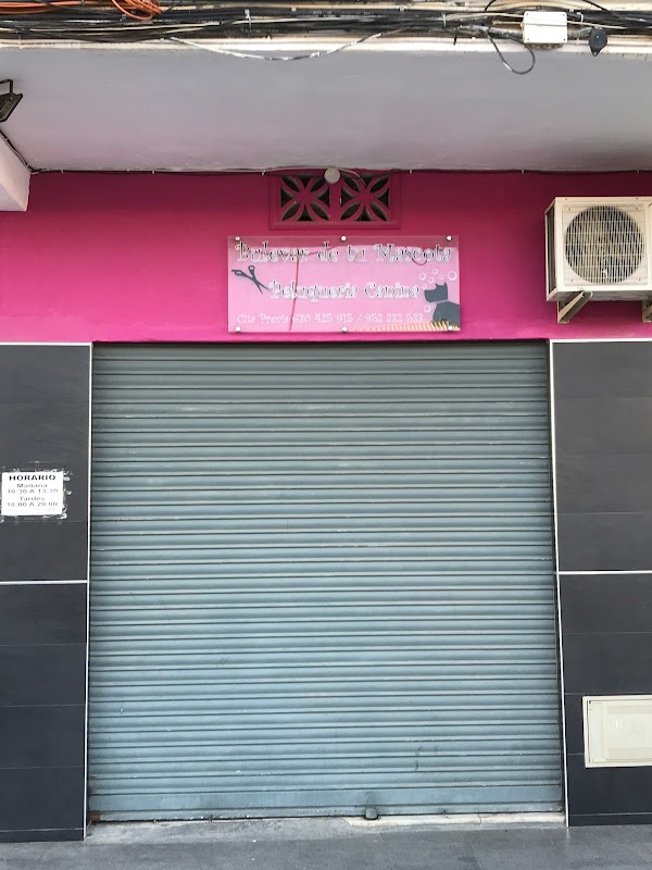 Peluqueria Canina Bulevar De Tu Mascota