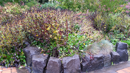 Community Center «Campbell Community Center», reviews and photos, 155 High St, Eugene, OR 97401, USA