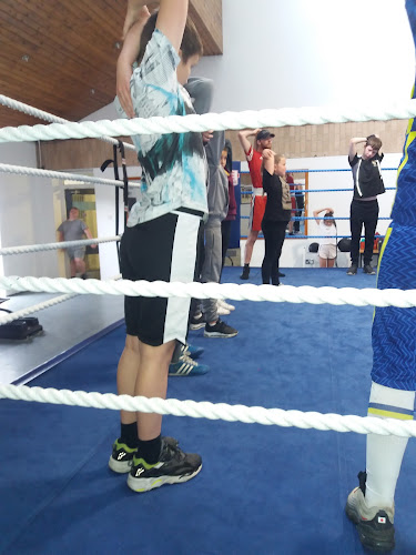 Paul Ingle Boxing Academy - Hull