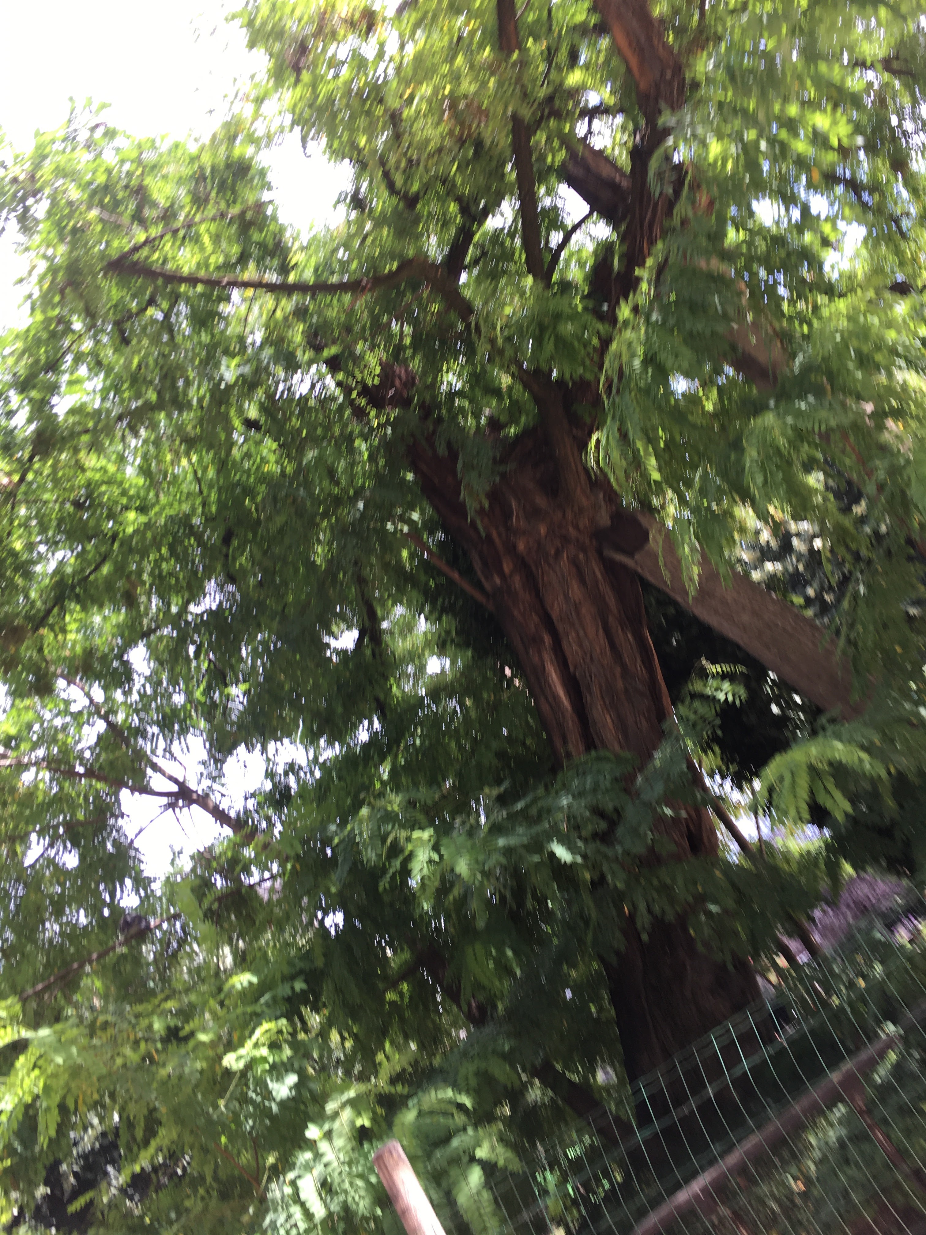Photo n° 11 de l'avis de pascal.r fait le 26/07/2020 à 17:15