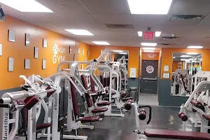 Bad Reps- The 24 Hour Gym image