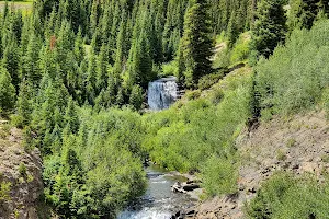 Gunnison National Forest image