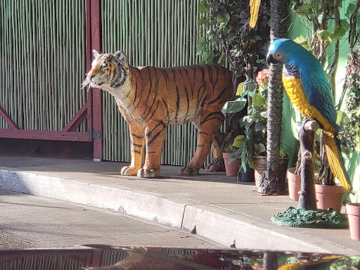 Car Wash «Green Forest Car Wash», reviews and photos, 4649 W Rosecrans Ave, Hawthorne, CA 90250, USA