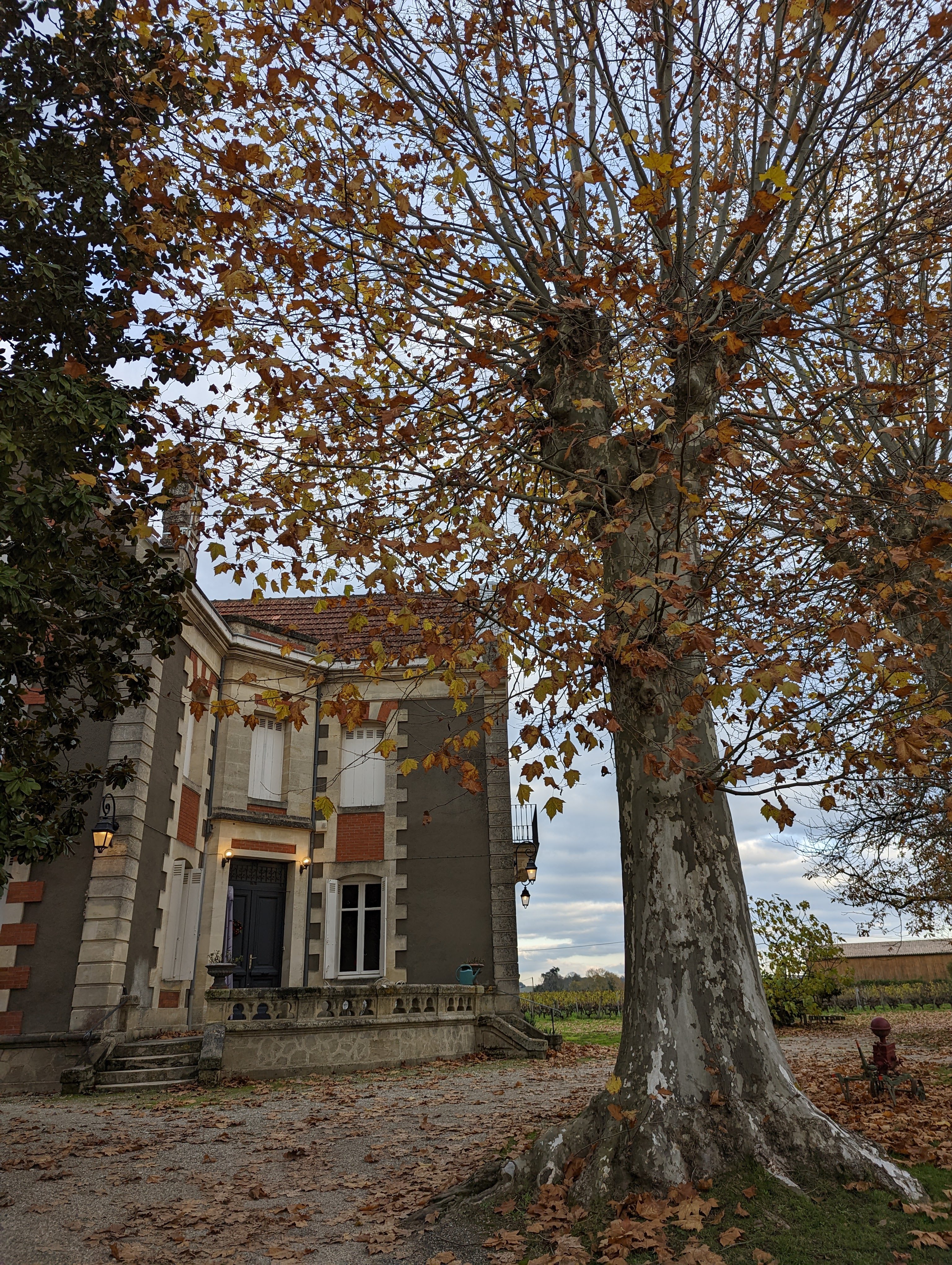 Photo n° 1 de l'avis de Yunru.h fait le 10/12/2022 à 11:24
