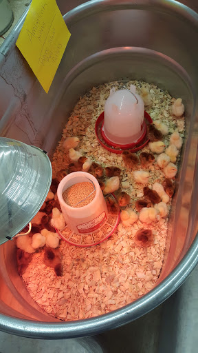 Home Improvement Store «Tractor Supply Co.», reviews and photos, 23735 US-23, Circleville, OH 43113, USA