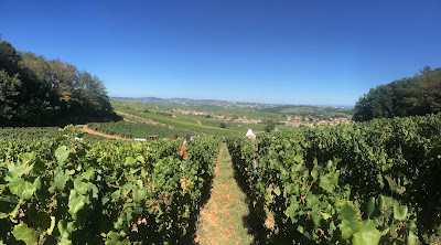Domaine Pierre Vessigaud à Solutré-Pouilly