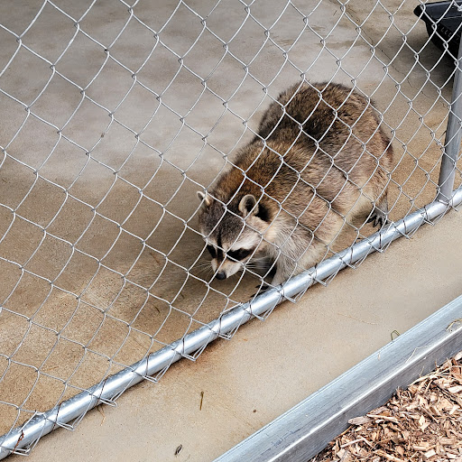 Zoo «Petting zoo Ocala», reviews and photos, 11150 FL-40, Ocala, FL 34482, USA