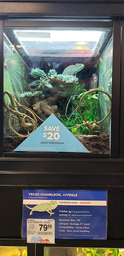 Pet Supply Store «PetSmart», reviews and photos, 476 Corwin Nixon Blvd, South Lebanon, OH 45065, USA