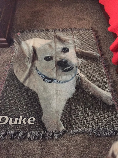 Gift Shop «The Memories Place», reviews and photos, 148 Westville Dr, Conway, SC 29526, USA