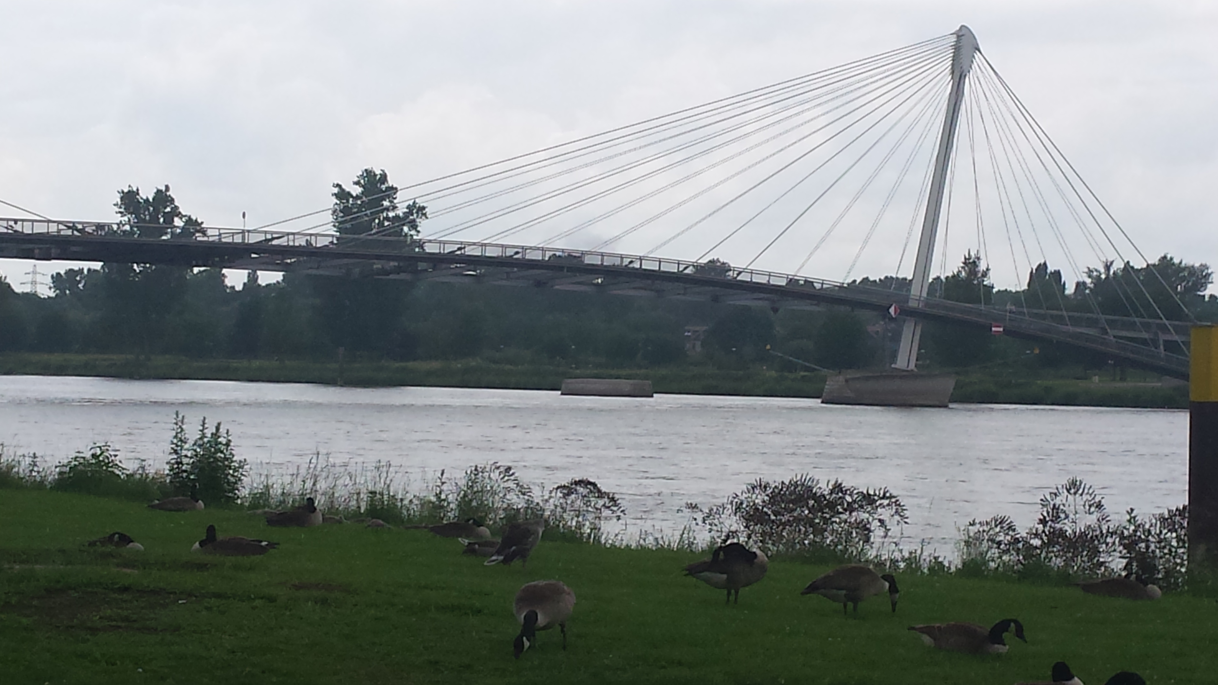 Photo n° 2 de l'avis de eric.e fait le 14/06/2018 à 12:06
