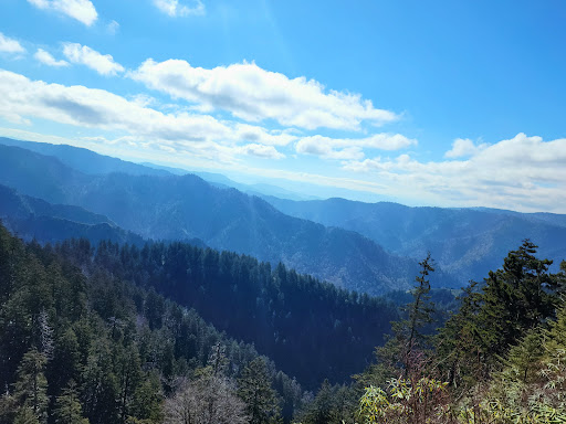 National Park «Great Smoky Mountains National Park», reviews and photos