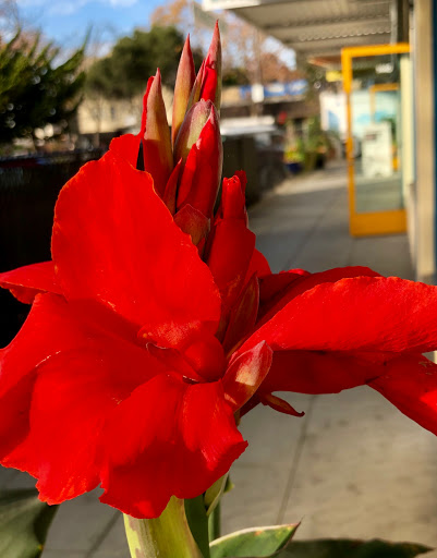 Hair Salon «University Hair Care», reviews and photos, 1444 University Ave, Berkeley, CA 94702, USA