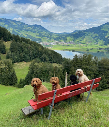 PUP AFFAIR dog school & daycare Zurich - Zürich