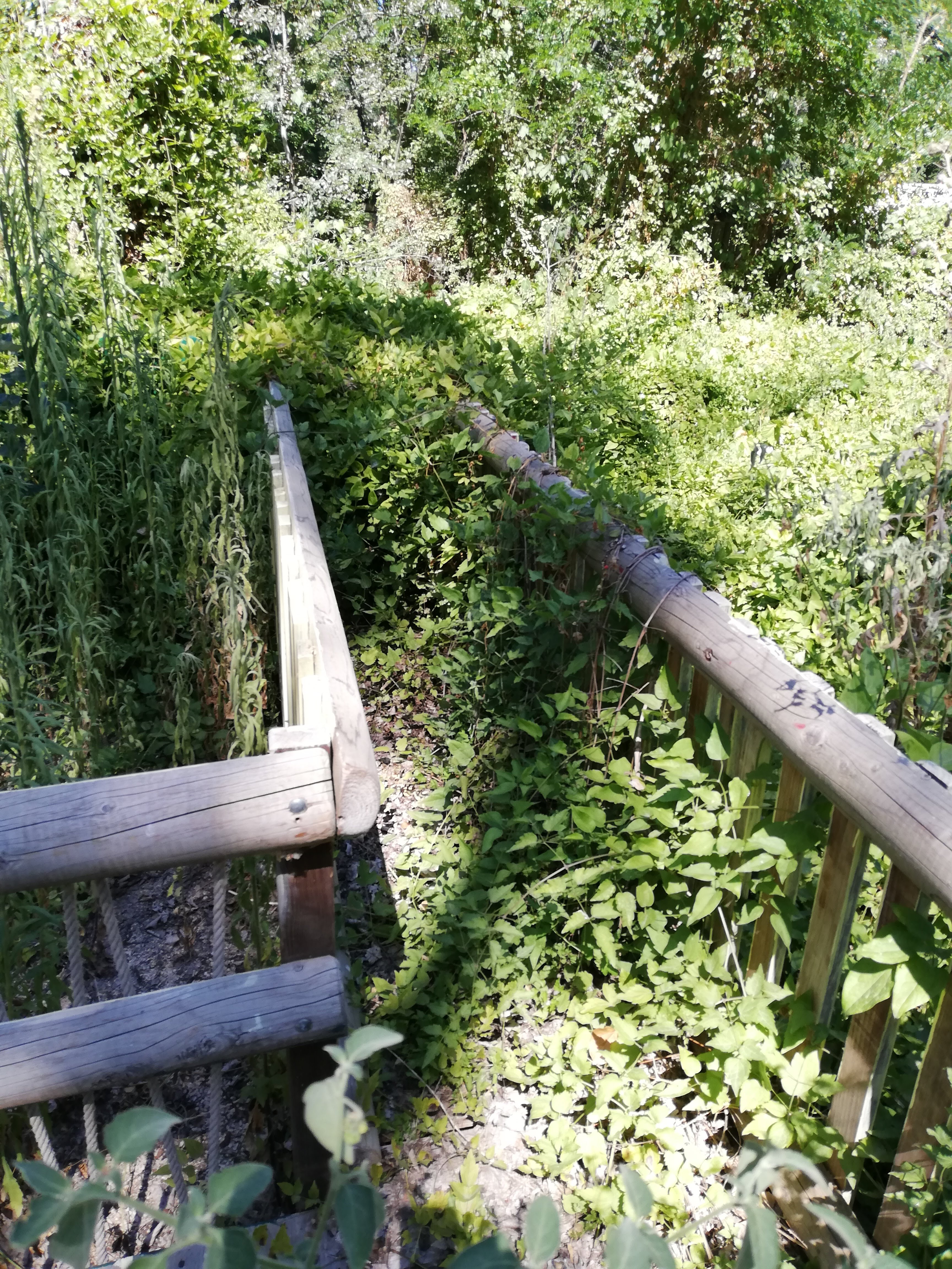 Photo n° 5 de l'avis de Olivier.e fait le 20/08/2019 à 07:58