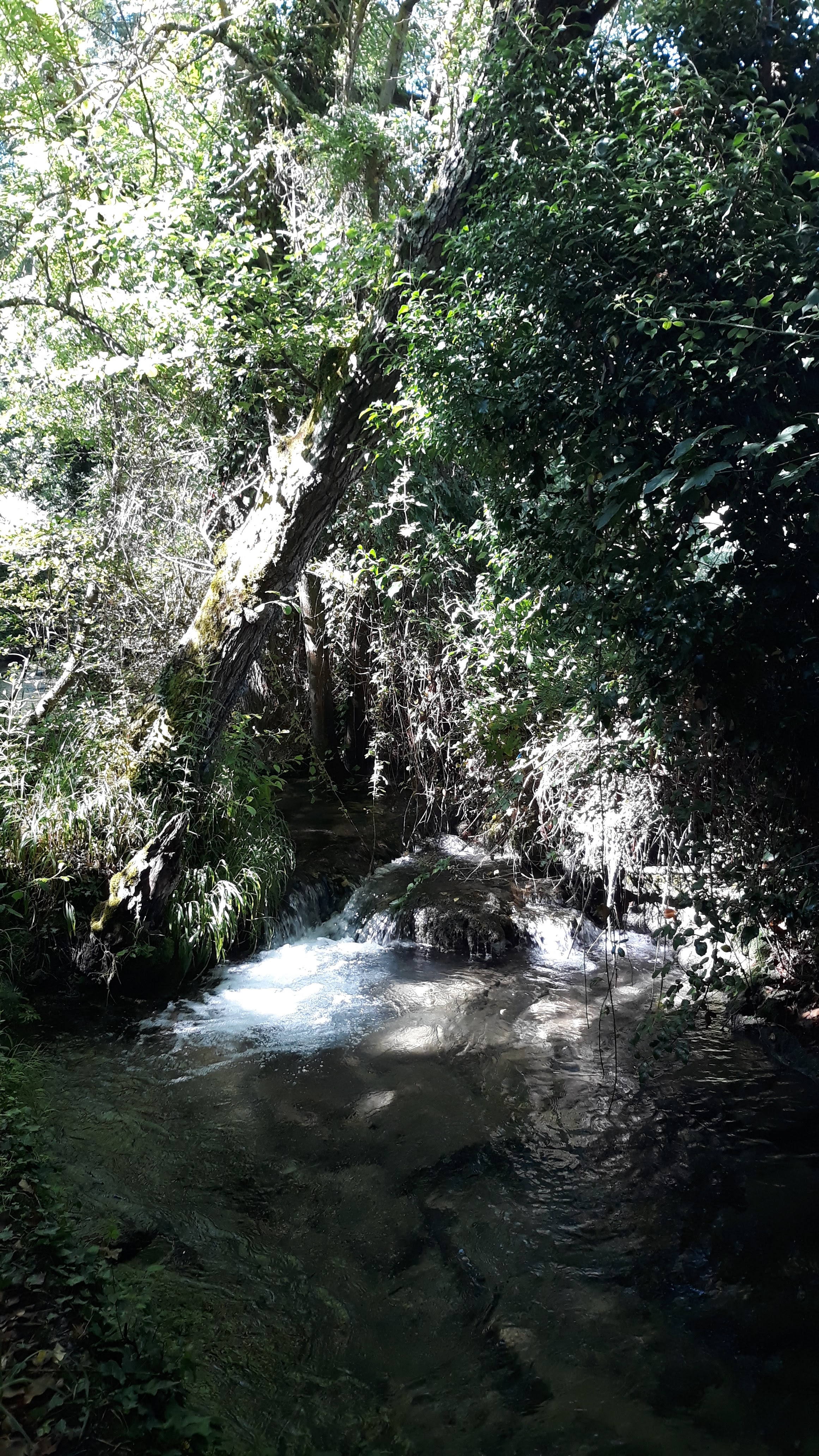 Photo n° 2 de l'avis de Pascale.r fait le 10/07/2019 à 20:36