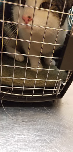 Pet Supply Store «PetSmart», reviews and photos, 7029 SW Nyberg St, Tualatin, OR 97062, USA