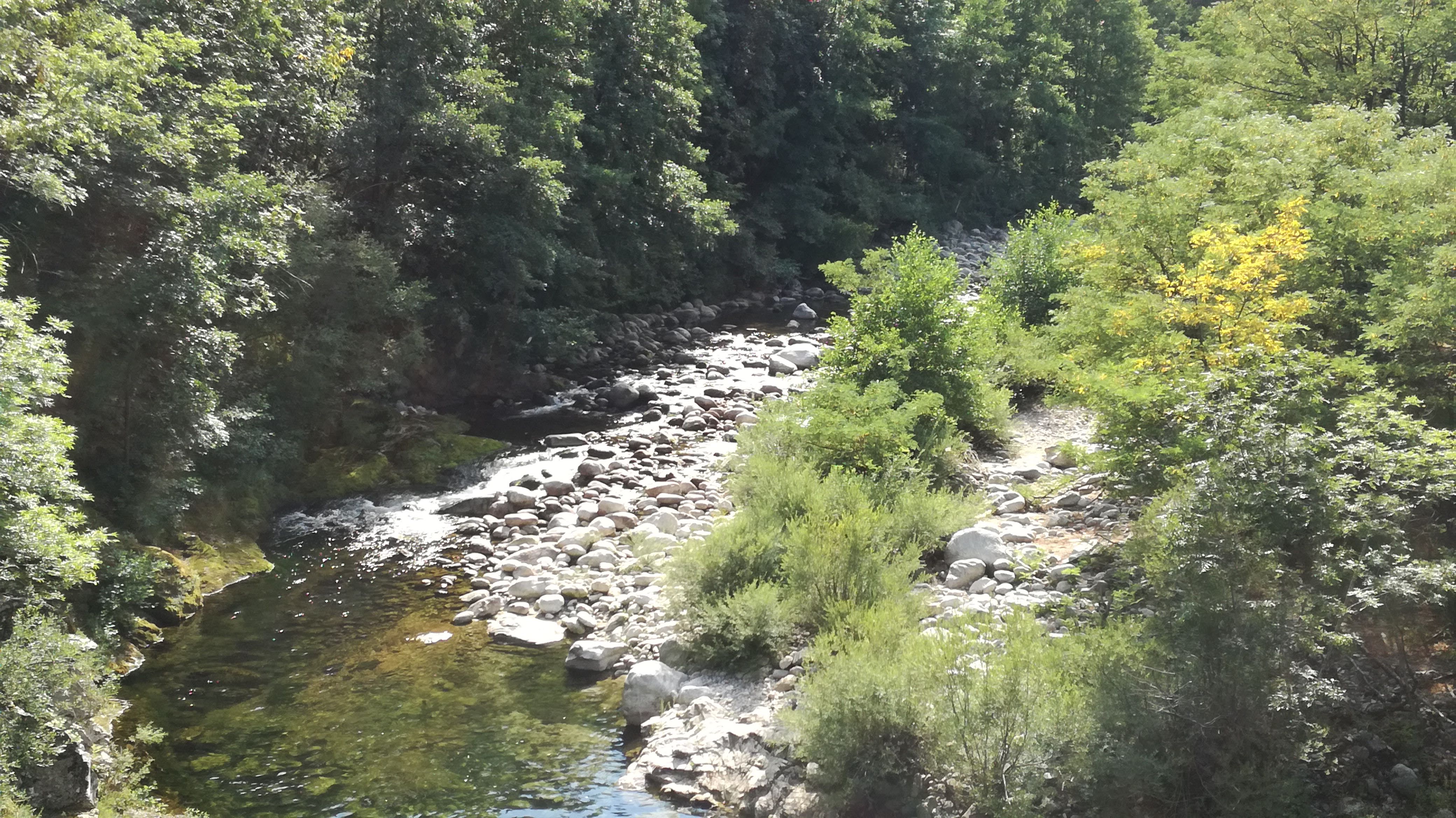 Photo n° 12 de l'avis de Thierry.i fait le 31/07/2018 à 12:45