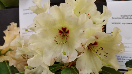 Event Venue «Florence Events Center», reviews and photos, 715 Quince St, Florence, OR 97439, USA