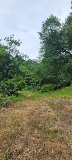 Nature Preserve «Pine Bend Bluffs Scientific and Natural Area (SNA)», reviews and photos, 111th St E, Inver Grove Heights, MN 55077, USA