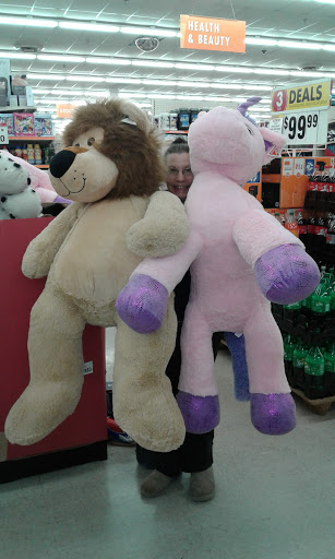 Discount Store «Big Lots», reviews and photos, 1241 Blakeslee Blvd Dr E, Lehighton, PA 18235, USA