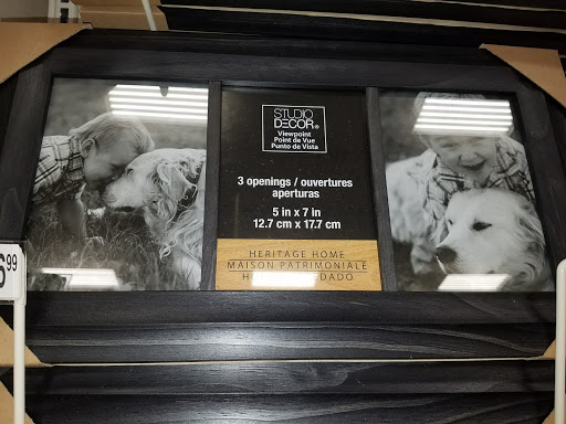 Craft Store «Michaels», reviews and photos, 2540 S Pleasant Valley Rd, Winchester, VA 22601, USA