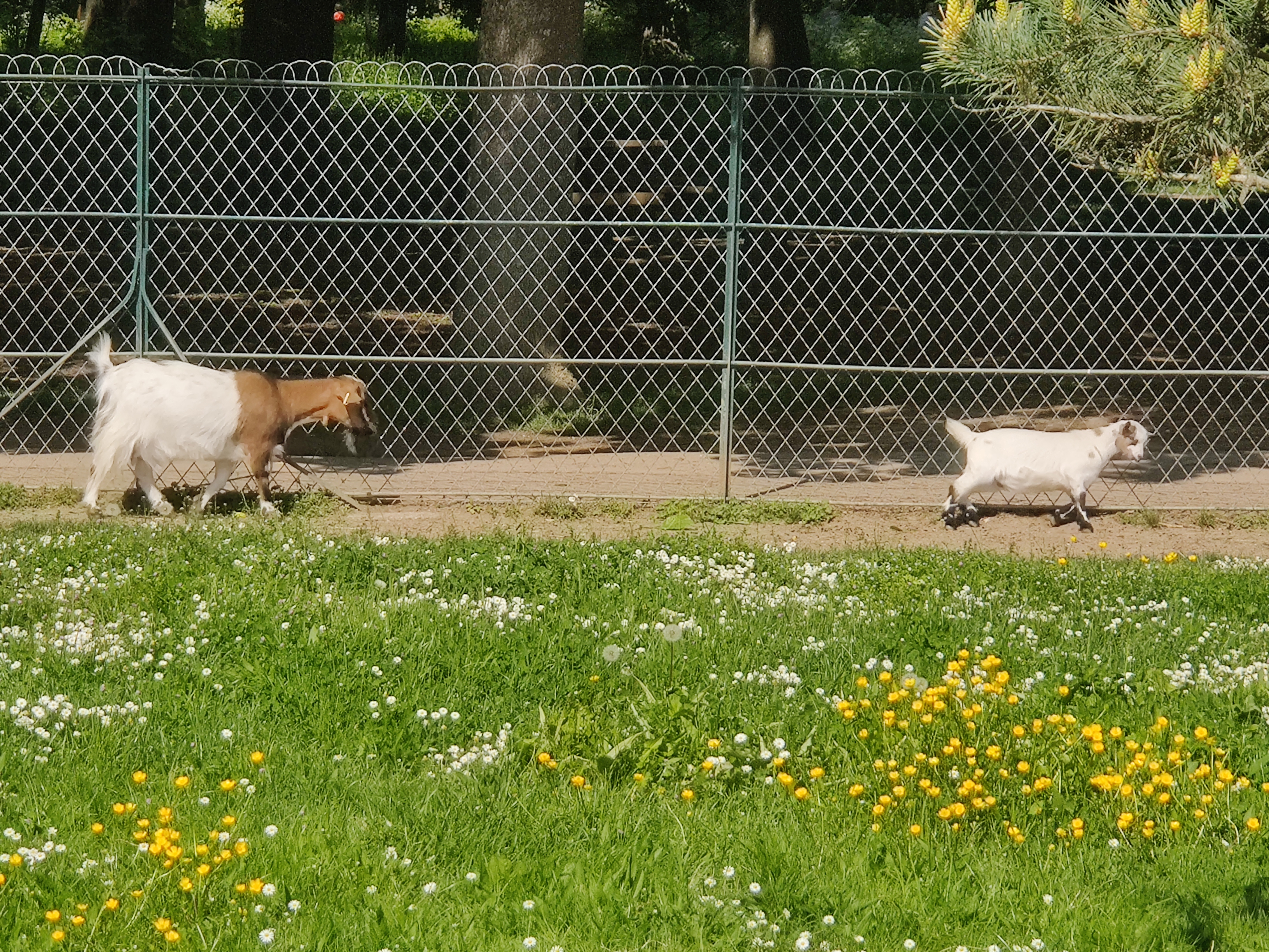 Photo n° 13 de l'avis de Carole.r fait le 01/05/2022 à 15:15