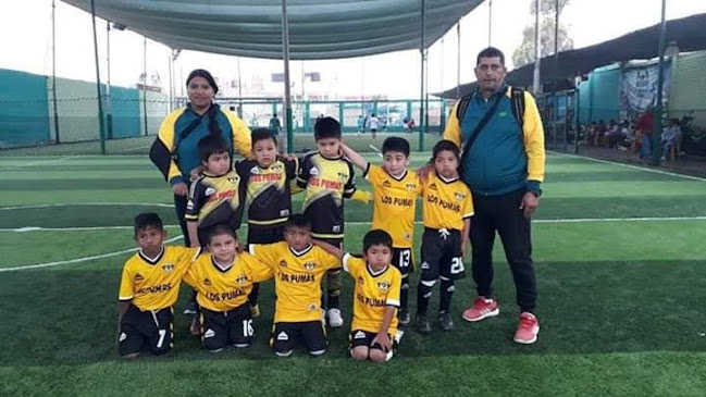 Academia de Fútbol "Los Pumas" de Pisco - Campo de fútbol