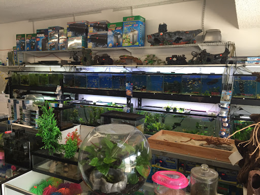 Pet Supply Store «Lotus Aquarium», reviews and photos, 14704 Hawthorne Blvd, Lawndale, CA 90260, USA