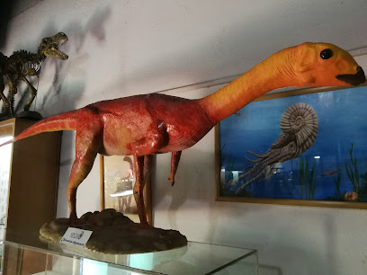 Museo Paleontológico de Chile