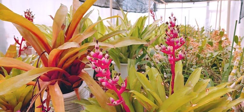 岩手県花きセンター 岩手県金ケ崎町六原頭無 植物園 グルコミ