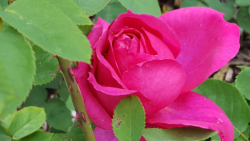 Art Museum «Brooklyn Museum», reviews and photos, 200 Eastern Pkwy, Brooklyn, NY 11238, USA