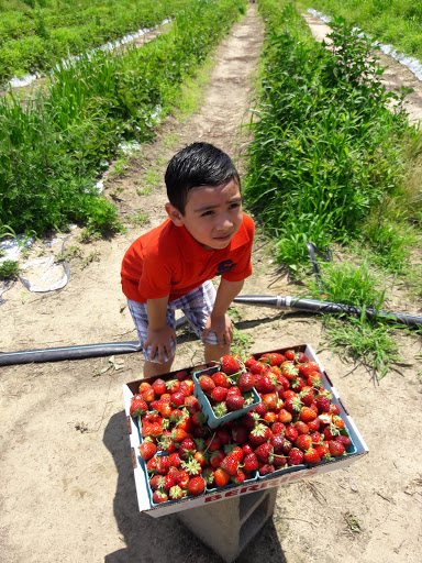 Golf Course «Tamarack Golf Course», reviews and photos, 97 Hardenburg Ln, East Brunswick, NJ 08816, USA