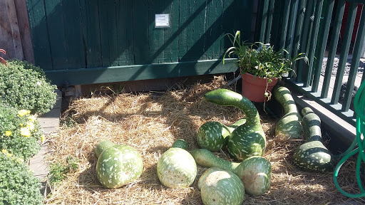 Farm «Russell Orchards», reviews and photos, 143 Argilla Rd, Ipswich, MA 01938, USA