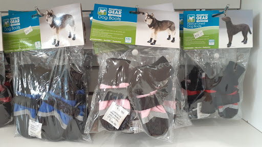 Pet Store «South Beach Pet Shop», reviews and photos, 634 6th St, Miami Beach, FL 33139, USA