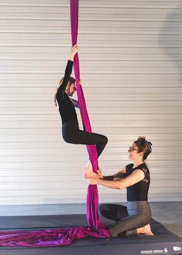 Silk & Circus - Aerial Arts & Circus Studio