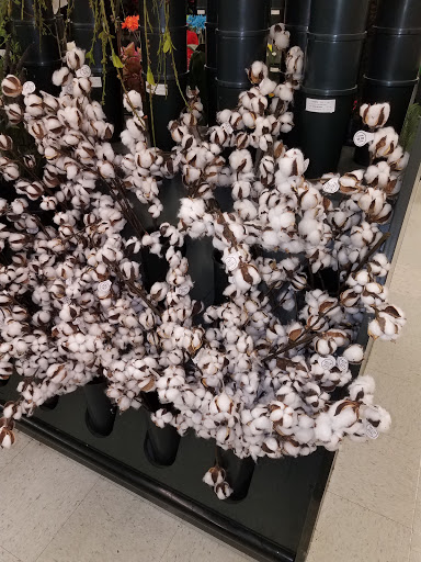 Craft Store «Hobby Lobby», reviews and photos, 1658 Town Square South West, Cullman, AL 35057, USA