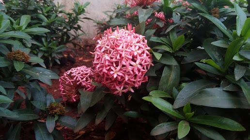 Google Maps image 23