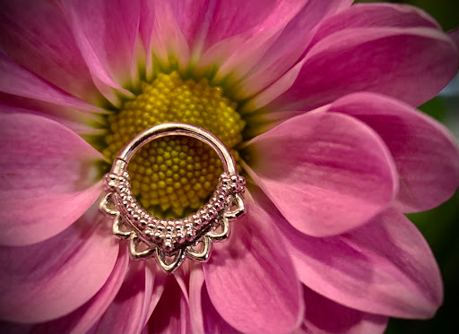 Find poppy tattoo ideas for your next unique tattoo in Chapel Hill at Spica Body Piercing