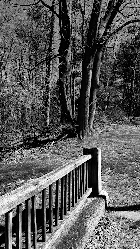 Park «Greycourt State Park», reviews and photos, 37 Pleasant St, Methuen, MA 01844, USA