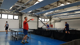 Table Tennis Arena