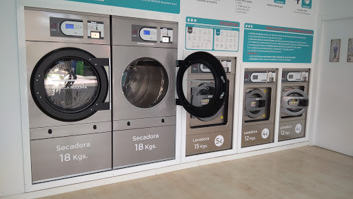 Lavandería Flor de Lavanda