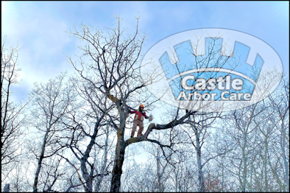 Castle Arbor Care
