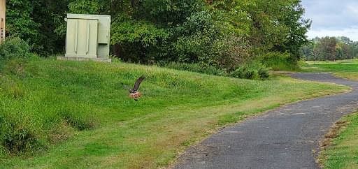 Public Golf Course «Mercer Oaks Golf Course», reviews and photos, 725 Village Rd W, West Windsor Township, NJ 08550, USA