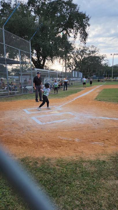 Belleview Youth Baseball