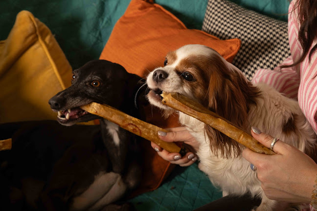 Comments and reviews of Pet Treats Wholesale Ltd
