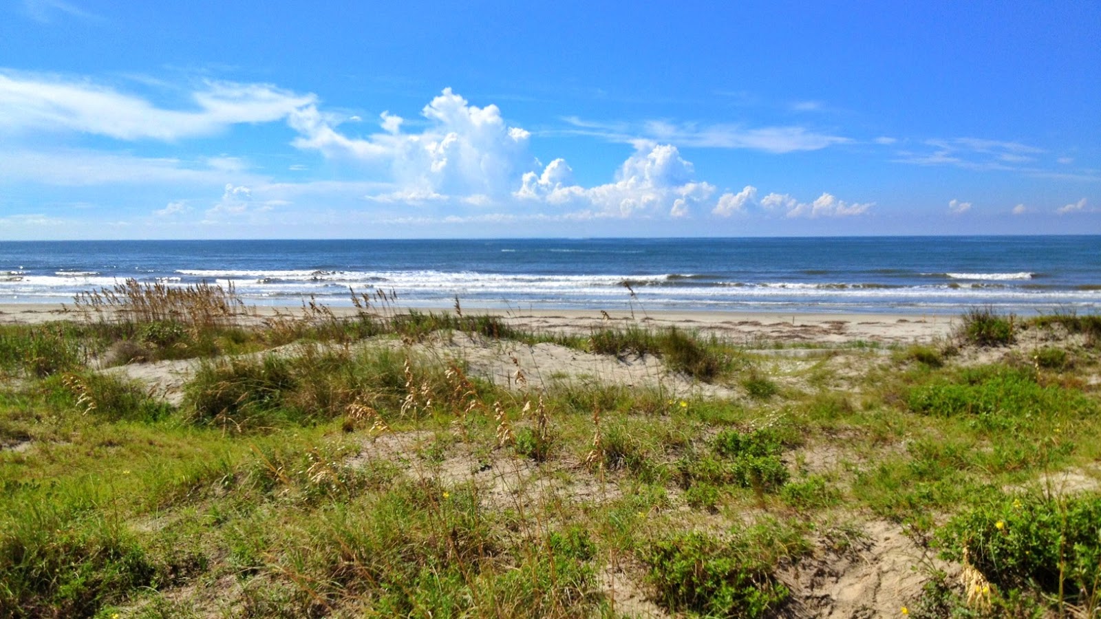 Kiawah club beach的照片 带有长直海岸