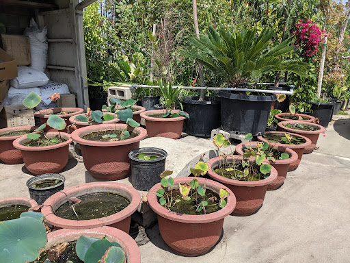 Temple Garden Center