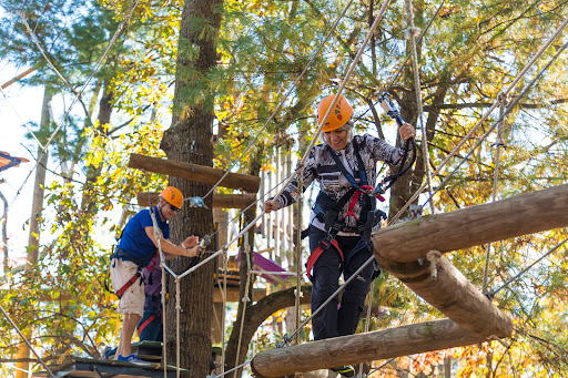 Amusement Park «Asheville Treetops Adventure Park», reviews and photos, 1 Resort Dr, Asheville, NC 28806, USA