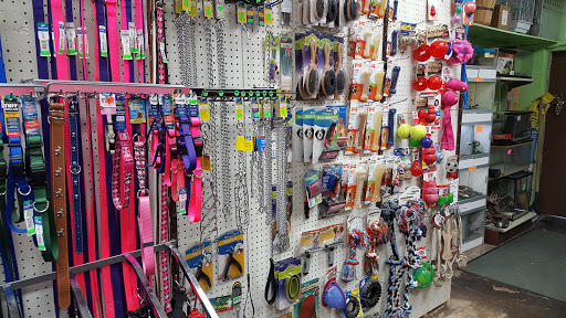Pet Store «Pettin Place», reviews and photos, 1121 S Wells Ave, Reno, NV 89502, USA
