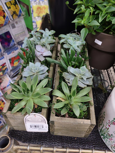 Grocery Store «Riverside Market Inc», reviews and photos, 311 N Oak St, Durand, MI 48429, USA